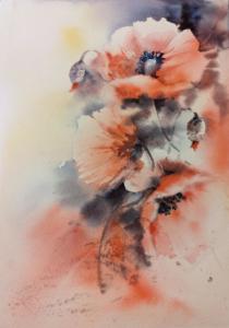 22 coquelicots  (1)