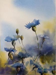23 bleuets